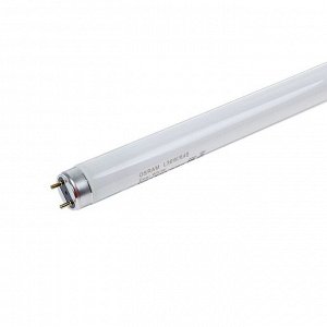 Лампа люминесцентная Osram L 36W/640, G13, 36 Вт, 4000 К, 1200 мм