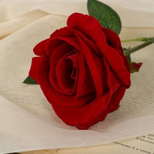 Цветы искусственные «Роза боливийская» 8х55 см, белый