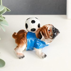 Сувенир полистоун "Английский бульдог с футбольным мячом" 6.5х8х5 см