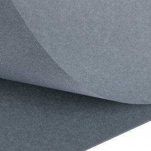 Бумага для пастели В3 (350х500 мм) с тиснением, 10 листов "Палаццо", 160 г/м2, графит