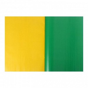 Бумага цветная двусторонняя, мелованная А4, 48 листов, 24 цвета "Весёлые друзья", в папке