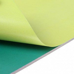 Бумага цветная двусторонняя, мелованная А4, 48 листов, 24 цвета "Весёлые друзья", в папке