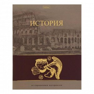 Тетрадь предметная "Артефакт", 46 листов в клетку "История", обложка мелованный картон, матовая ламинация, 3D фольга, блок офсет