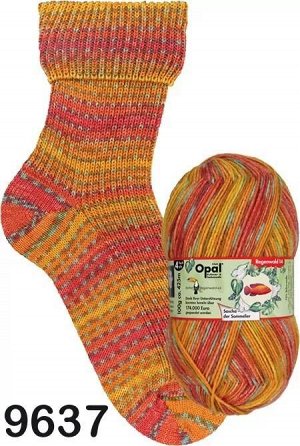 Пряжа Opal REGENWALD 14 6-PLY