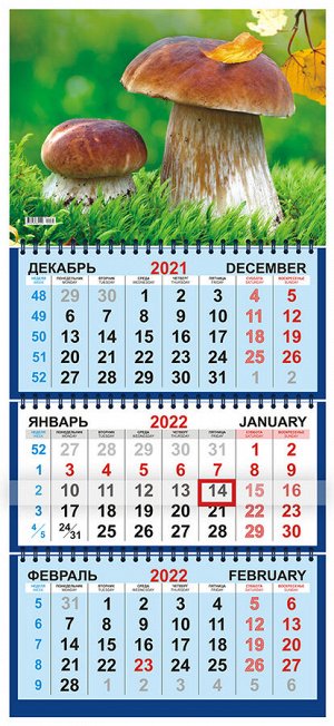 Квартальный календарь на 2022 год "Гриб"