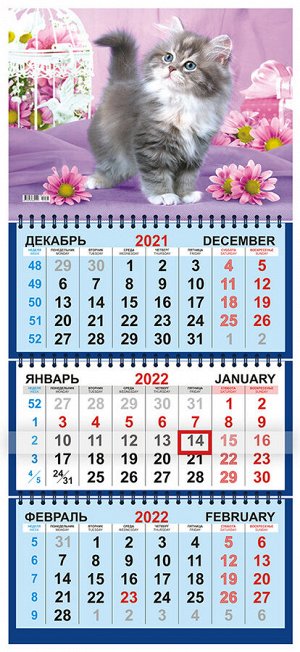 Квартальный календарь на 2022 год "Котёнок"