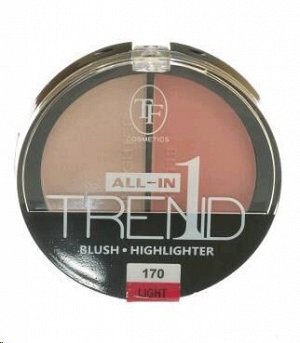 Триумф All in one румяна компактные хайлайтер 2в1 2г light т.170 | 6шт | СТР-17-170 | 994783