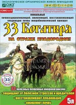33 Богатыря почвооздоравливающий микробиологический препарат 5л (БИ) (4шт/уп)