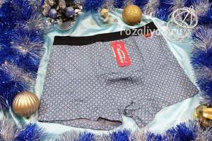 Трусы мужские боксеры p-p 46-54 Арт. 30021 Veenice  (к.7952)
