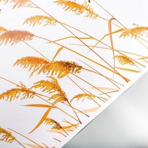 Наклейка пластик интерьерная цветная "Поле с пшеницей" 60х90 см