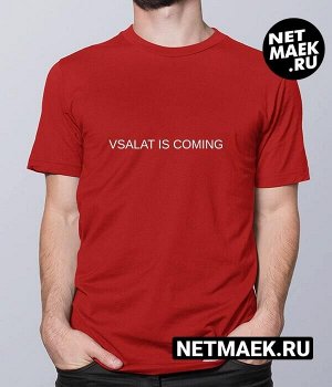 Мужская футболка с надписью vsalat is coming new, цвет красный