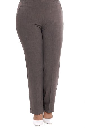 Брюки-4796 Брюки "классика" с карманами на молнии капучино

          Элегантные брюки из мягкой ткани с добавлением стрейча. Модель отлично сидит за счет эластичной резинки на поясе. Практичные карма