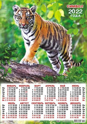 Листовой календарь на 2022 год А2 "Символ Года - Тигр"