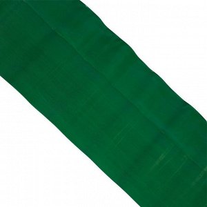 Лента бордюрная, 0.2 ? 9 м, толщина 0.6 мм, гофра, пластиковая, зелёная