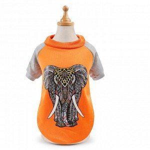 Комбинезон для животных, принт "Слон", цвет оранжевый/серый
