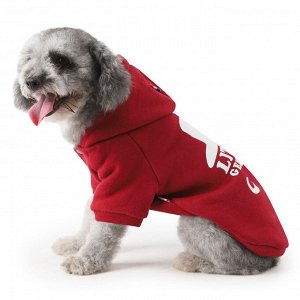 Кофта для животных, надпись "Little gentle dog", цвет красный
