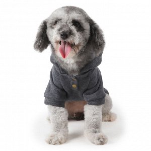 Кофта для животных, надпись "Little gentle dog", цвет серый