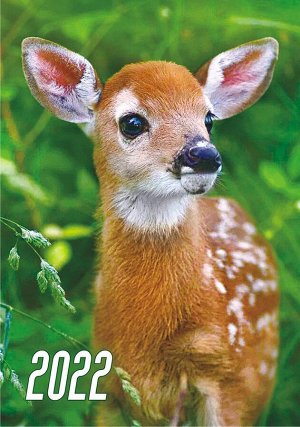 Карманный календарь на 2022 год "Дикие животные"