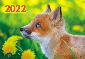 Карманный календарь на 2022 год "Дикие животные"