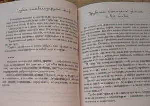 Анатолий Шапиро: Секреты знакомых предметов. Труба