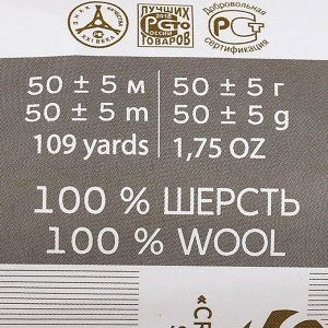 Набор шерсть для валяния 100% полутонкая шерсть 50гр (1319-Золотой микс)
