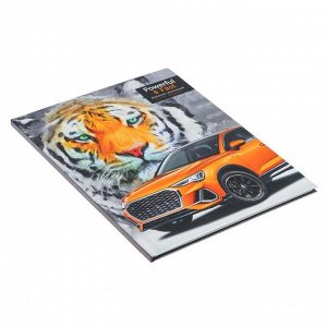 Дневник универсальный для 1-11 классов "Тигр и автомобиль", твёрдая обложка, глянцевая ламинация, 40 листов