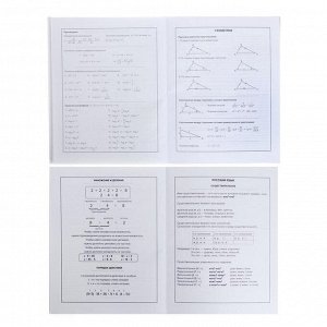 Дневник универсальный для 1-11 классов "Крутая Панда", интегральная обложка, матовая ламинация, выборочный УФ-лак, 48 листов