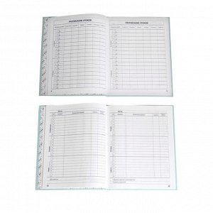 Дневник для 1-4 классов "Однотонный", обложка мелованный картон, матовая ламинация, выборочный УФ-лак, 48 листов