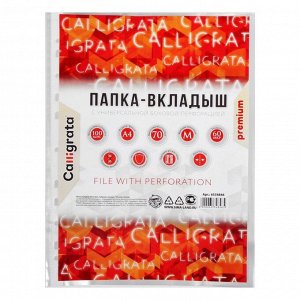 Файл - вкладыш Calligrata, А4, 60 мкм, плотные, матовый, вертикальный, 100 штук