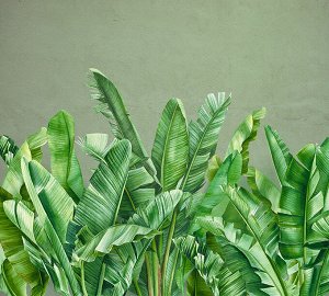 DIVINO Decor Фотообои Банановые листья