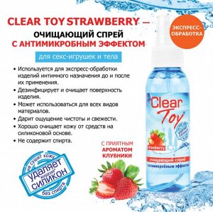 Спрей CLEAR TOY STRAWBERRY очищающий 100 мл