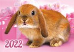 Карманный календарь на 2022 год &quot;Домашние животные&quot;