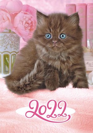 Карманный календарь на 2022 год "Кошки"