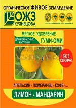 Гуми-Оми Лимон-мандарин, 50г (БИ) (54шт/уп)