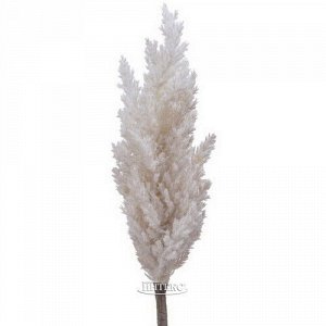 Декоративная ветка с перьями Coral Serenity: Beige 88 см
