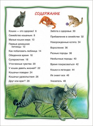 Кошки и котята (100 фактов)