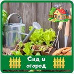 Сад и огород