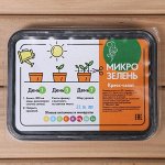 Набор для выращивания микрозелени «Вырасти сам микрозелень», Кресс-салат, лоток 13 * 18 * 3 см, чёрный