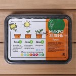 Набор для выращивания микрозелени «Вырасти сам микрозелень», Рукола, лоток 13 * 18 * 3 см, чёрный