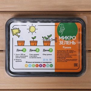 Набор для выращивания микрозелени «Вырасти сам микрозелень», Рукола, лоток 13 ? 18 ? 3 см, чёрный
