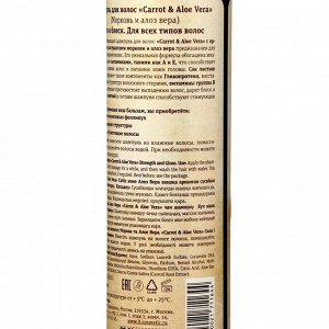 Шампунь для волос Carrot & Aloe Vera, сила и блеск, 250 мл