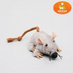 Игрушка для кошек &quot;Грызун&quot;, 8,5 см