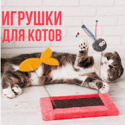 Пижон - для собак и кошек