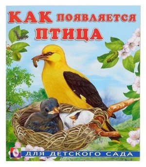 Как появляется птица