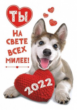 Карманный календарь на 2022 год "Собаки"