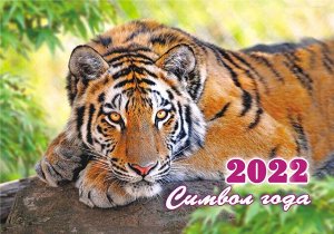 Карманный календарь на 2022 год "Символ года - Тигр"
