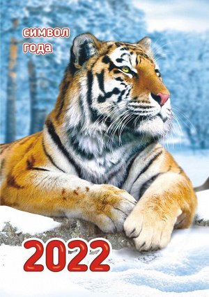 Карманный календарь на 2022 год "Символ года - Тигр"