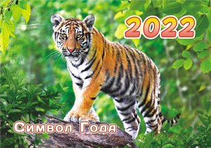 Карманный календарь на 2022 год "Символ года - Тигр"