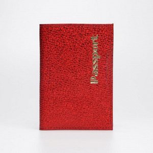Обложка для паспорта, цвет красный 6904866
