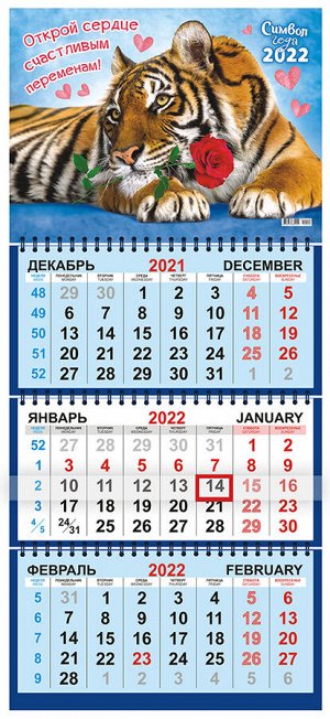 Квартальный календарь на 2022 год "Символ года - Тигр"